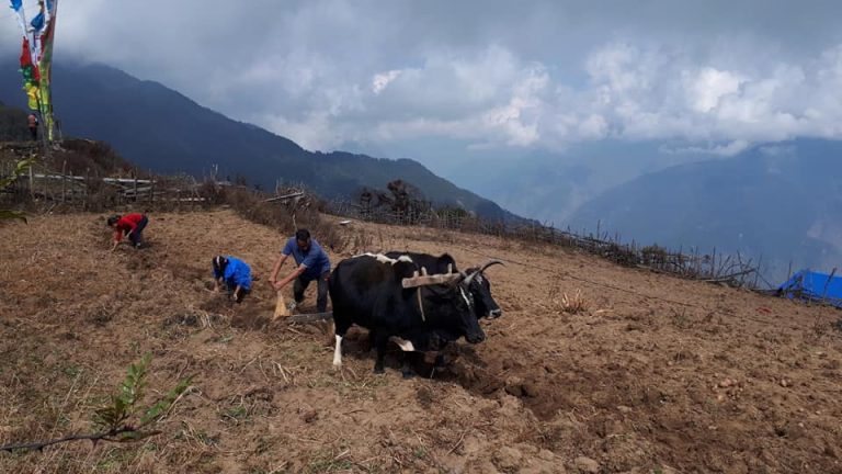 tamang-heritage-5
