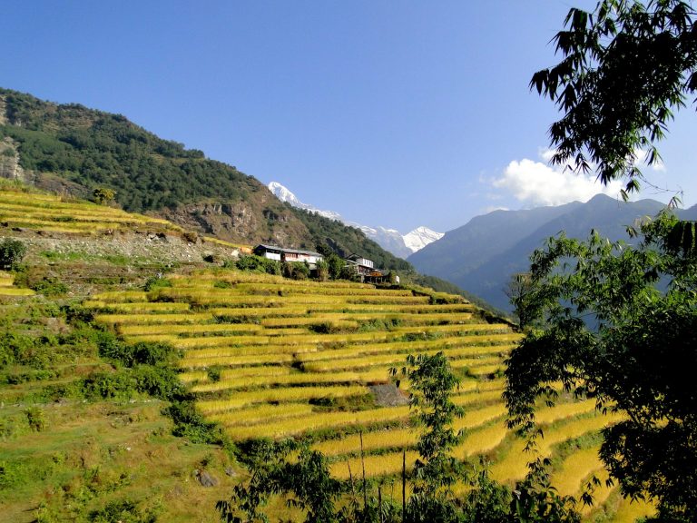 annapurnas-champs-terrasses-5-scaled