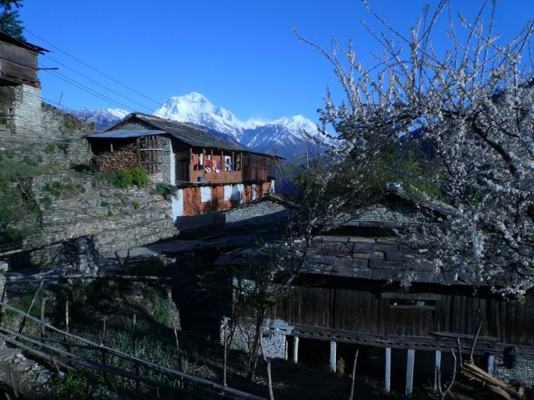 balcon-annapurna-trek-facile