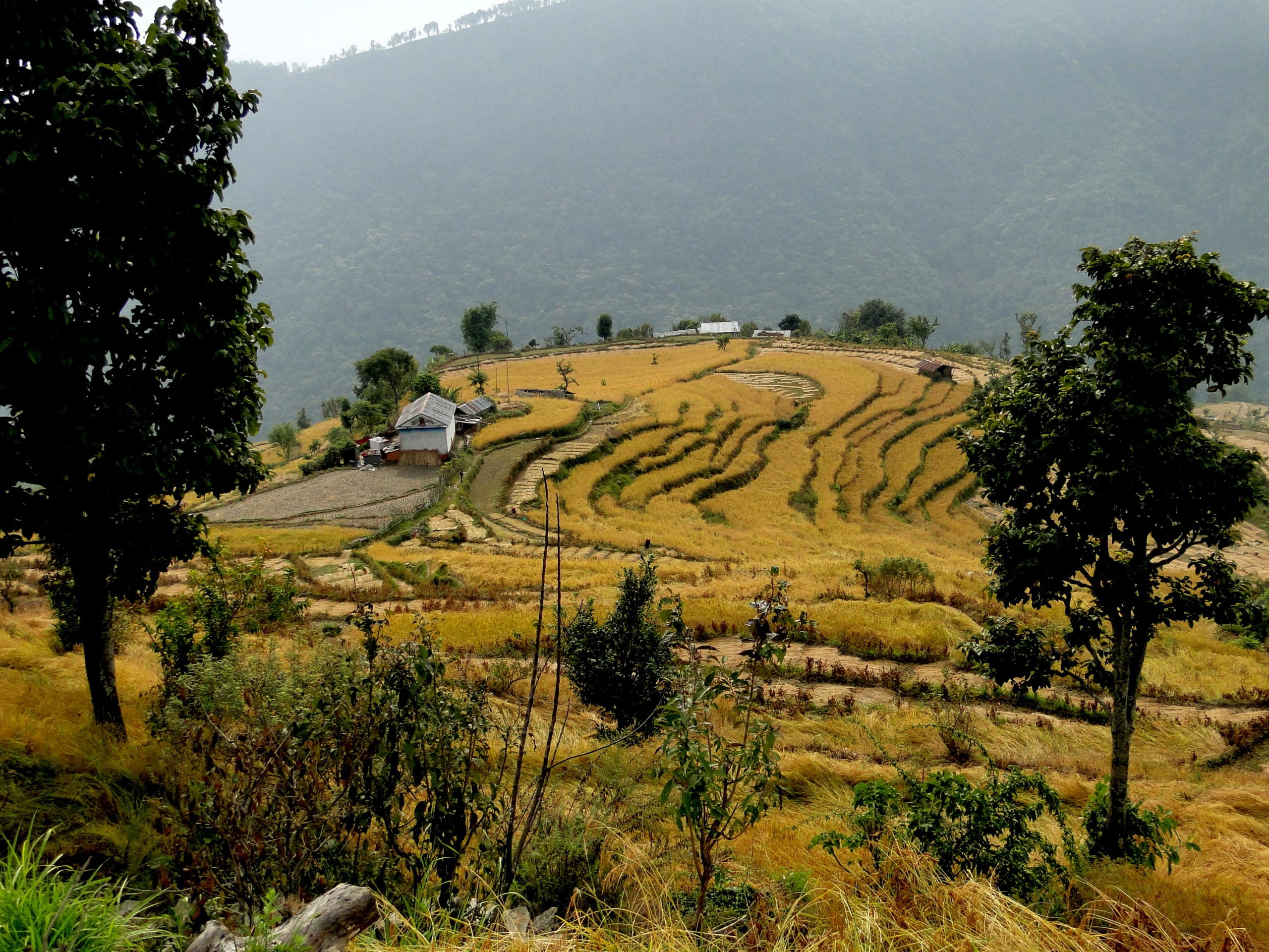 Trek au pays de l&rsquo;ethnie Gurung