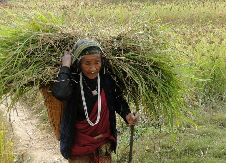 pays-gurung-4-scaled